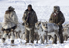 Nordasien, Russland: Tschukotka - Mit Rentiernomaden durch die russische Arktis